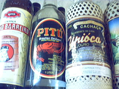pituypoca.jpg